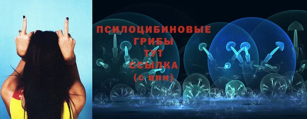 spice Балабаново