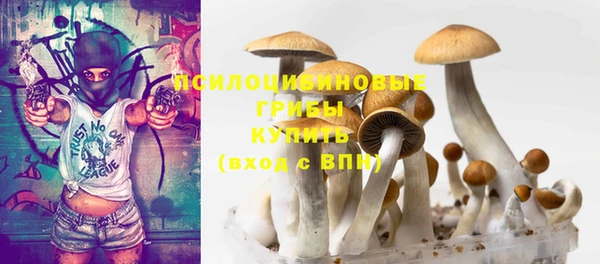 spice Балабаново